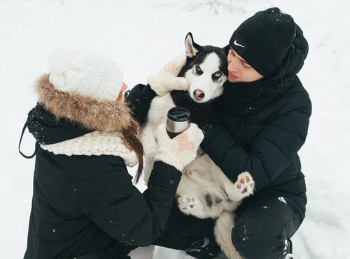 Маша Вова & Грей