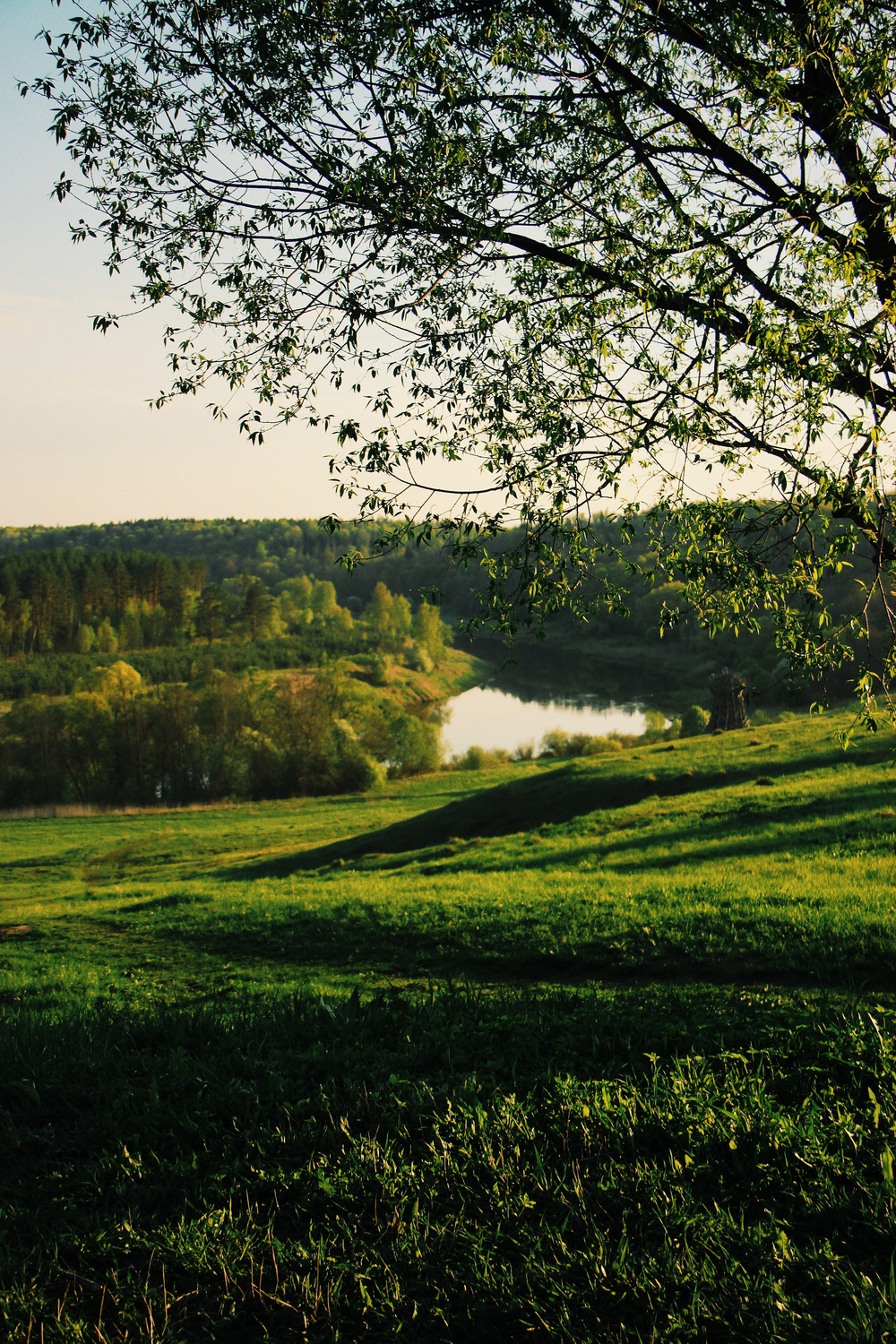 NIKOLA-LENIVETS