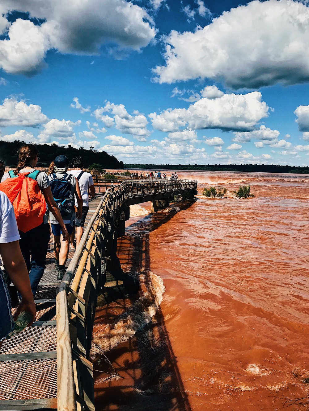 ARGENTINA (IGUAZU FALLS)