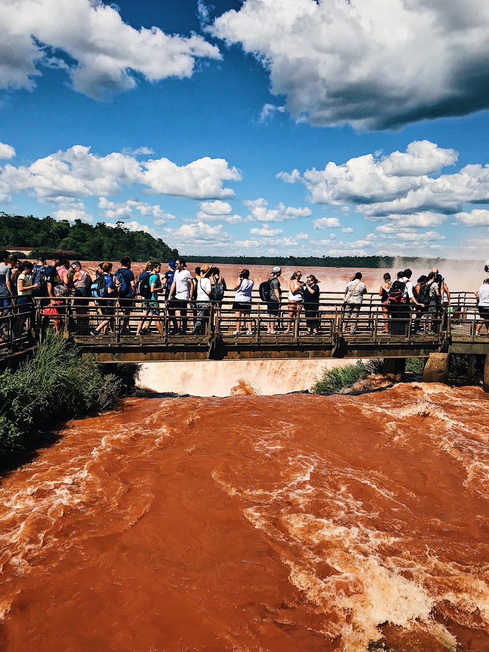 ARGENTINA (IGUAZU FALLS)