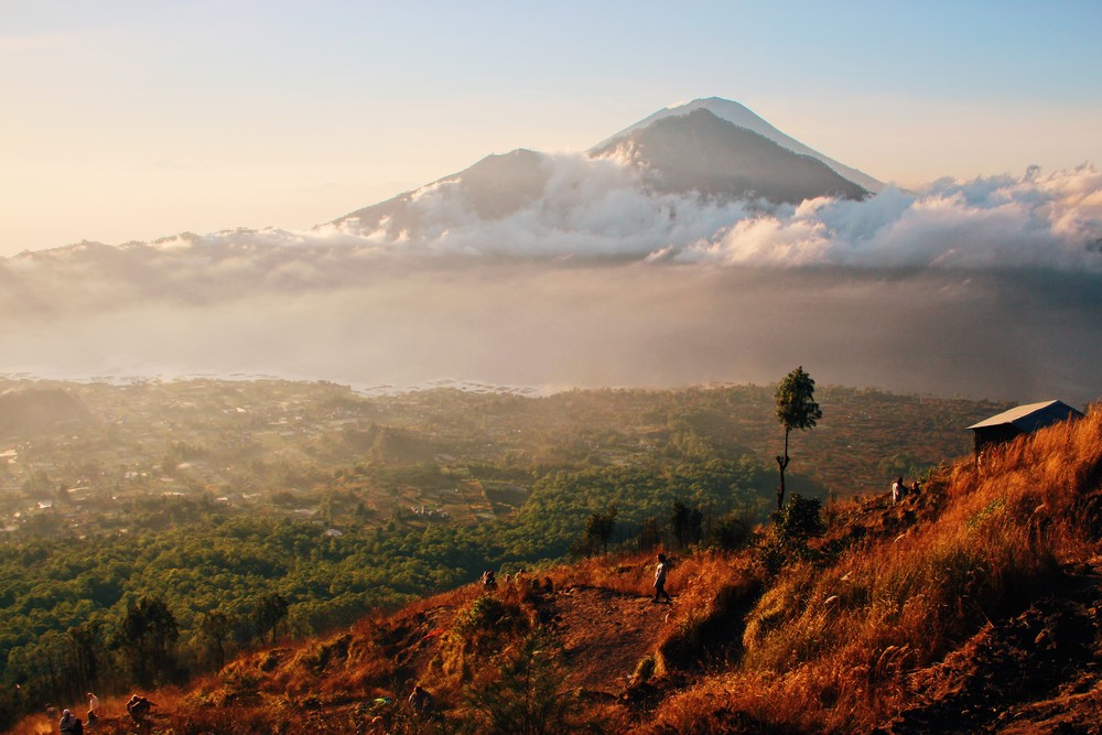 BALI 