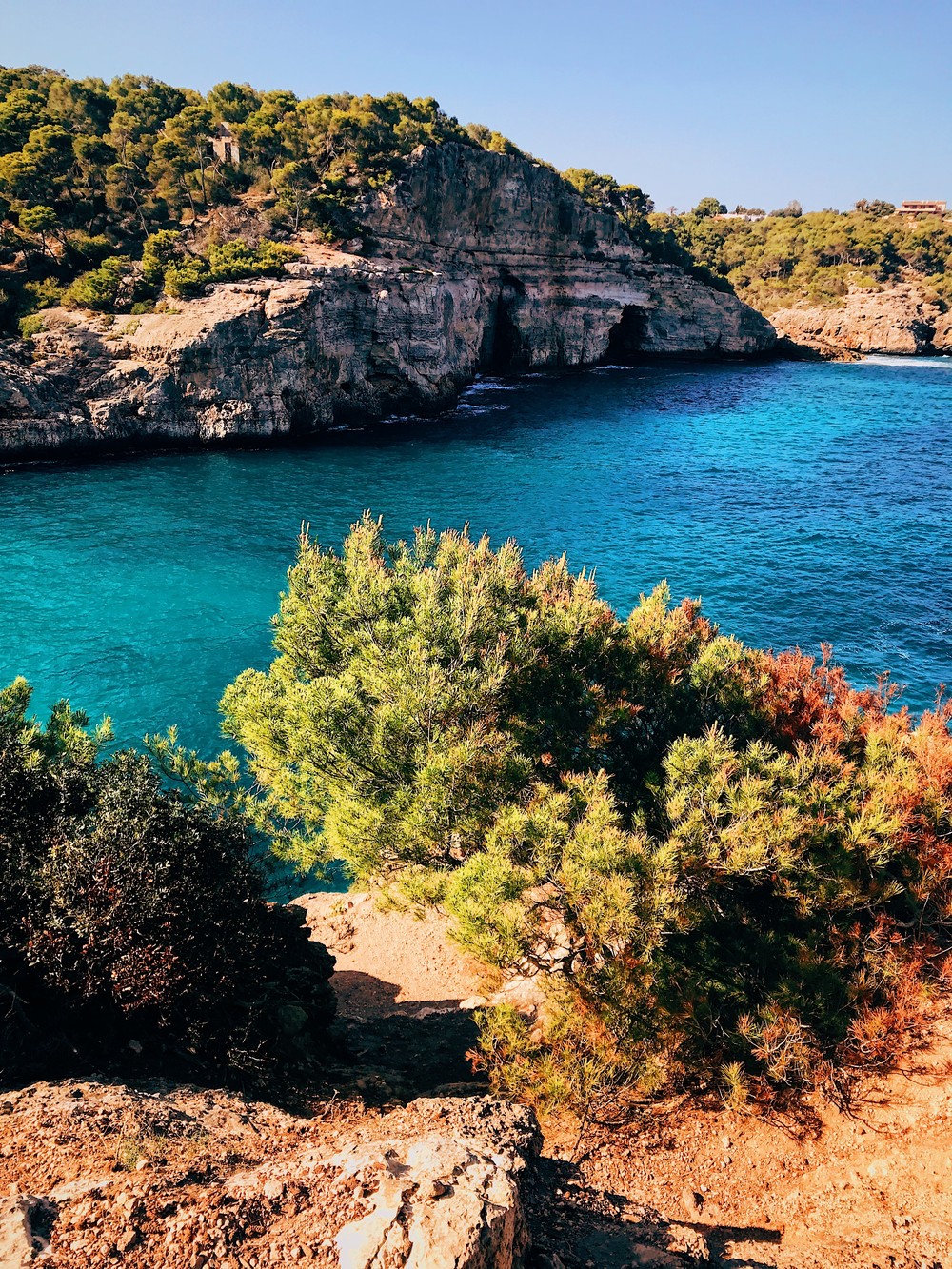 MALLORCA (SPAIN)