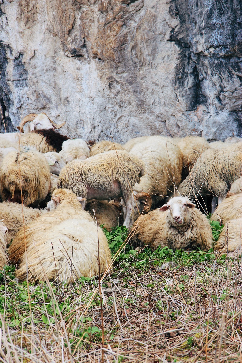 DAGESTAN