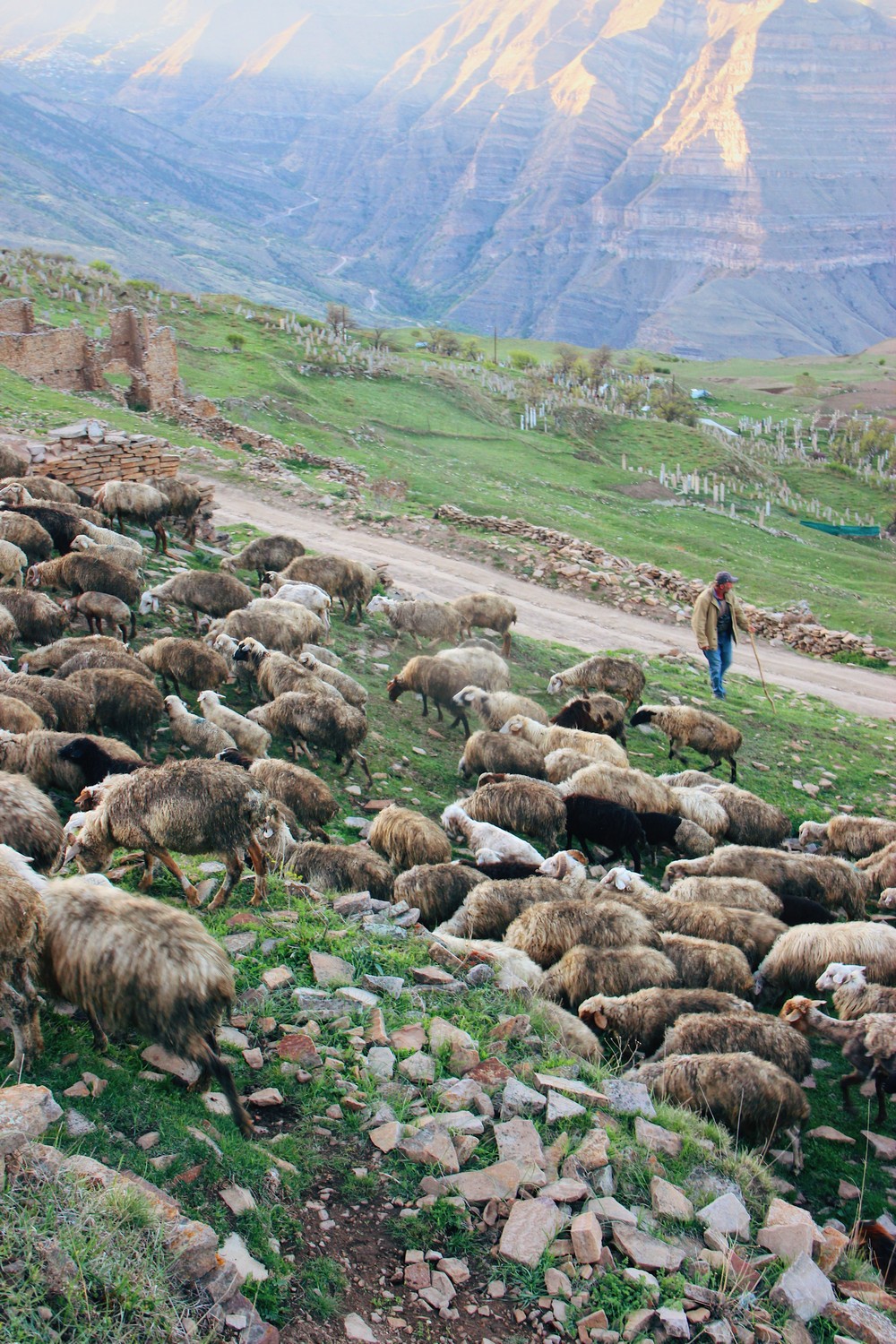 DAGESTAN