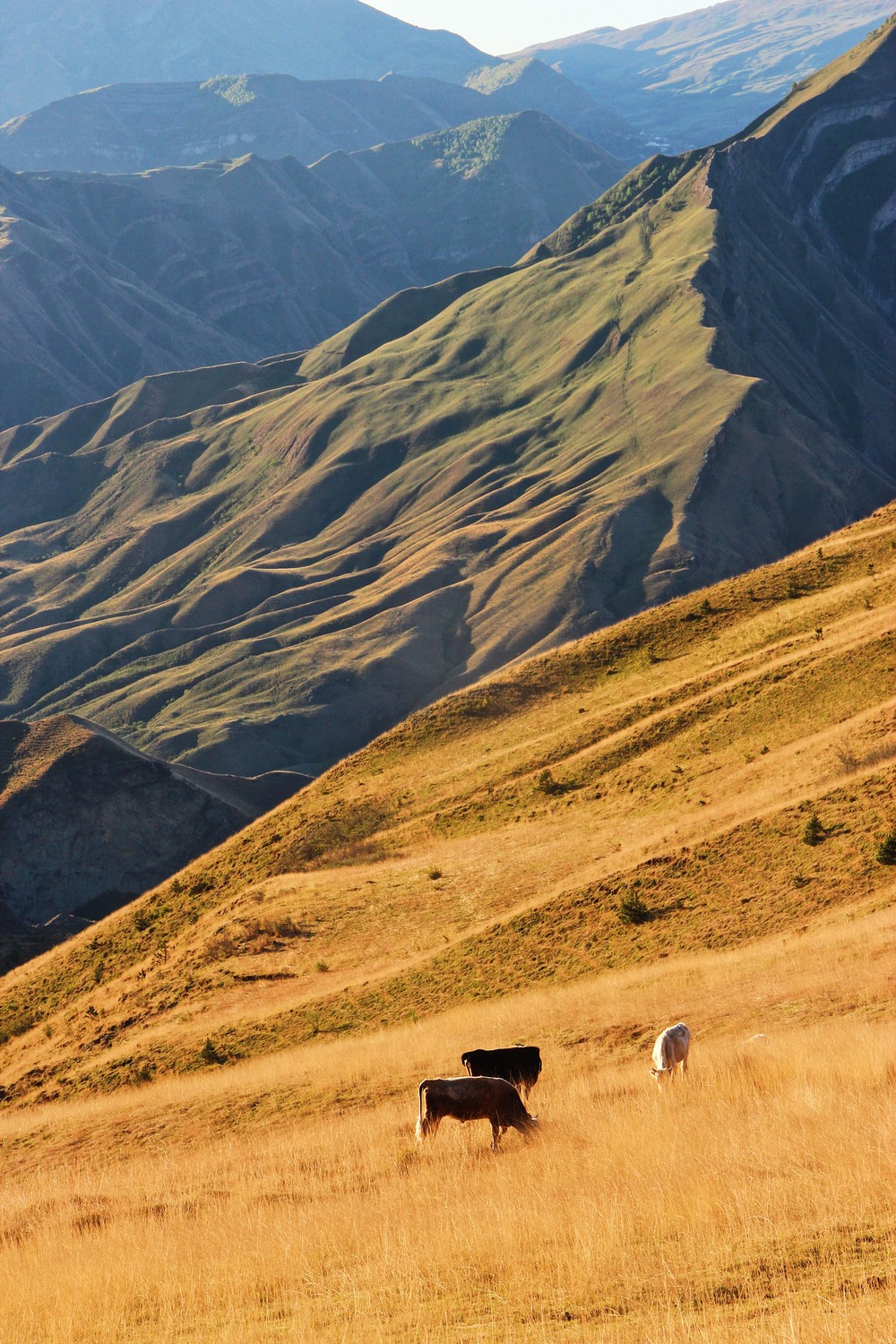 DAGESTAN