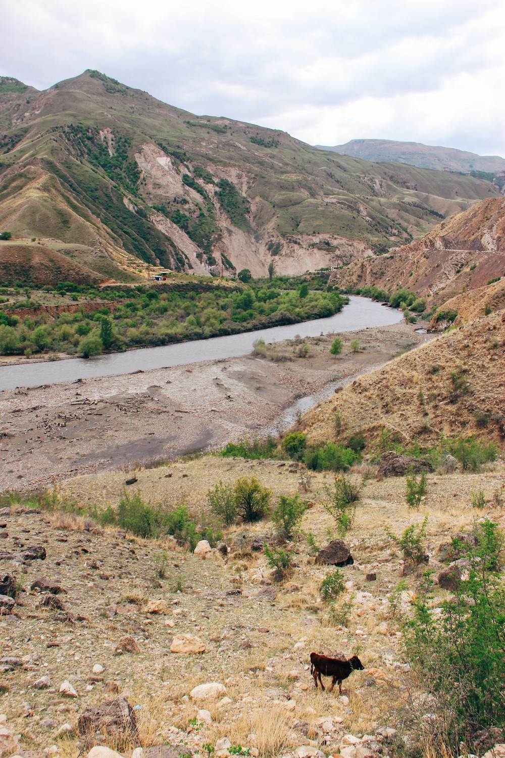 DAGESTAN