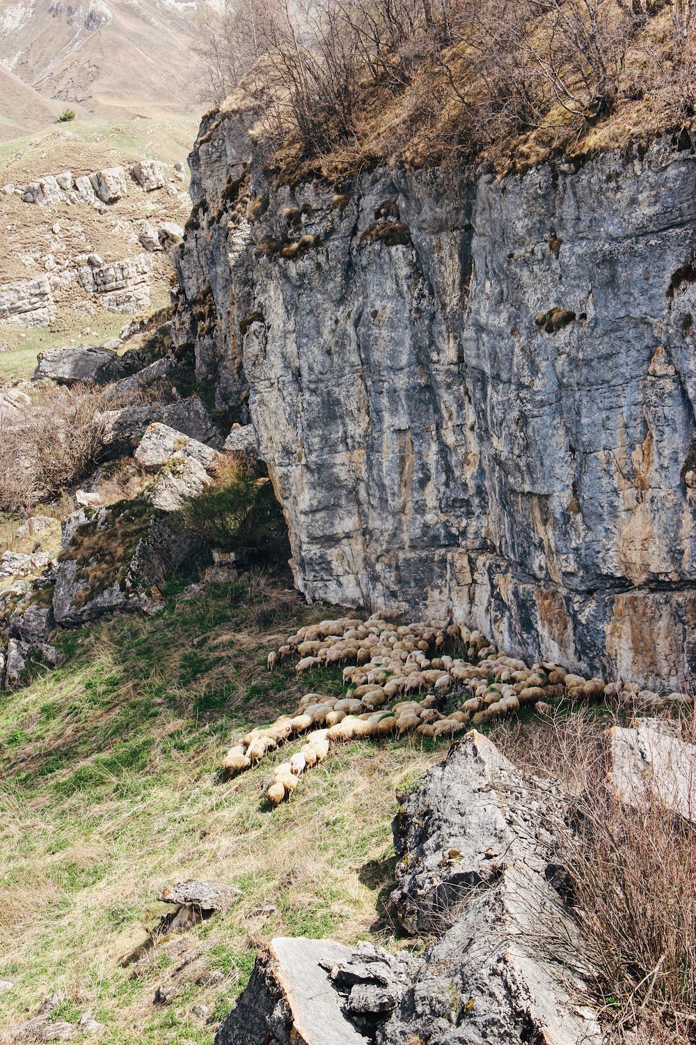 DAGESTAN