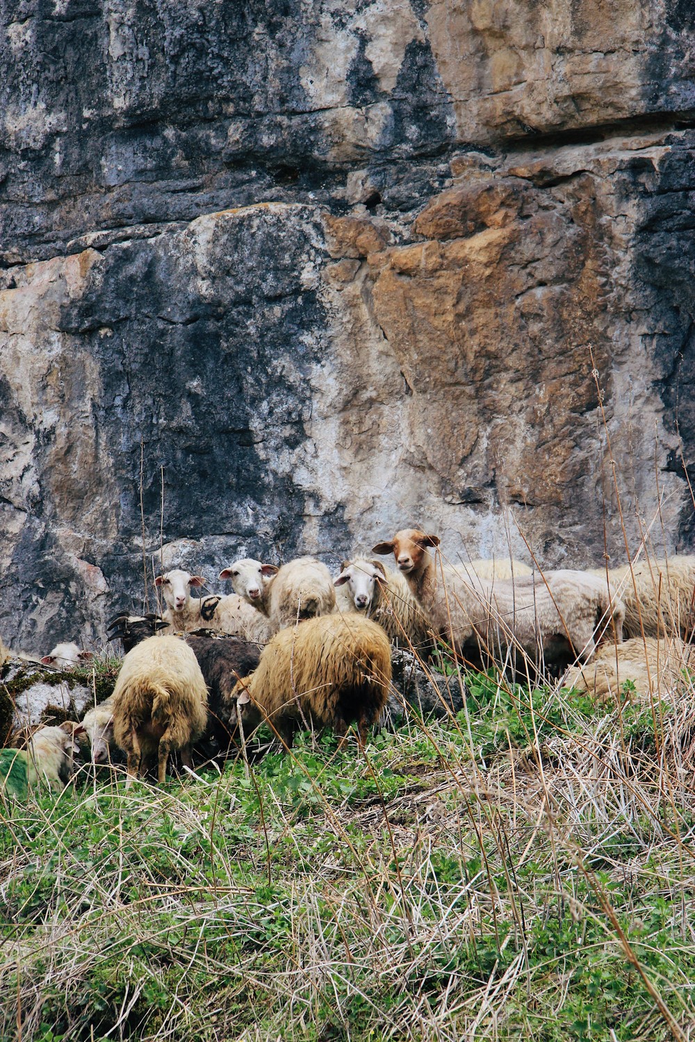 DAGESTAN