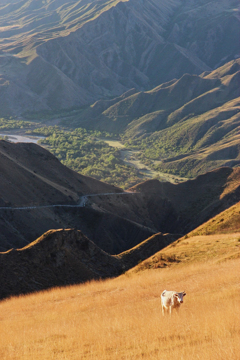 DAGESTAN