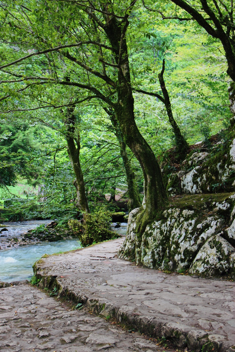 ABKHAZIA