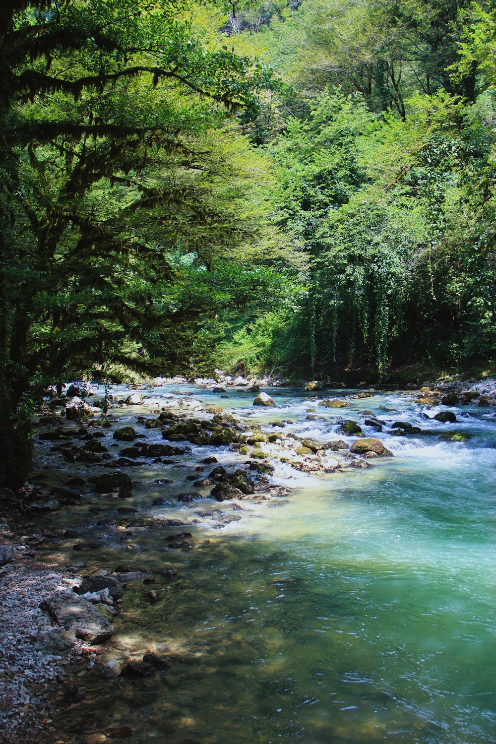 ABKHAZIA