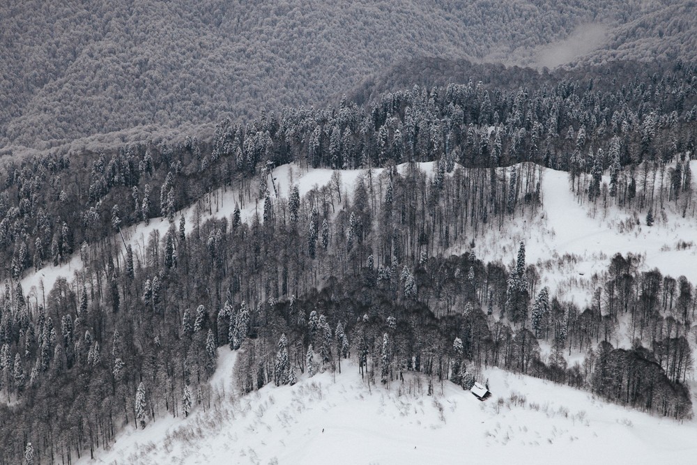 SOCHI 2017