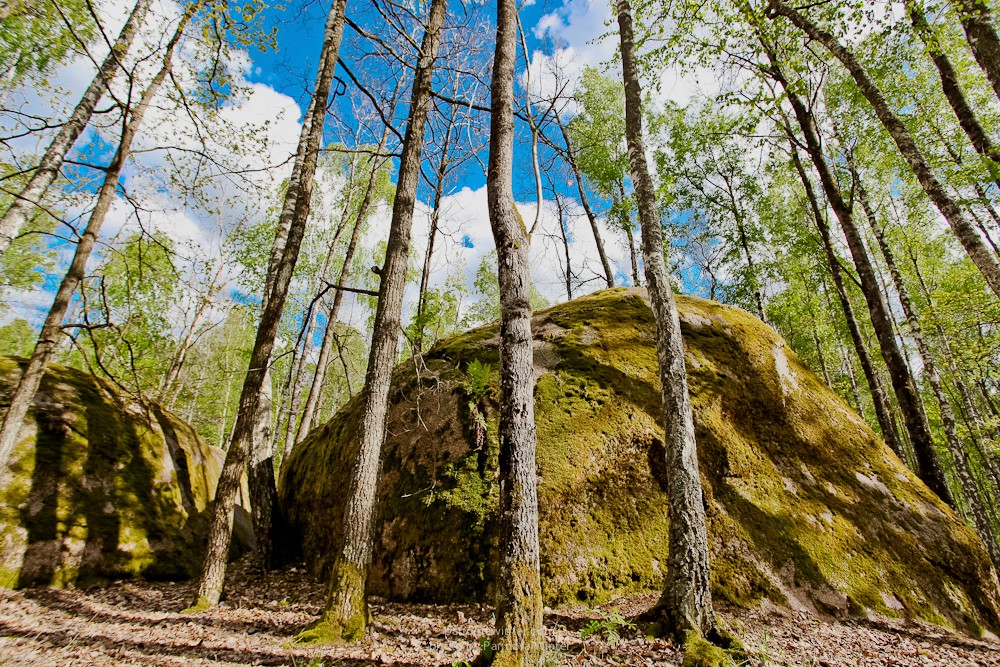 Каменное Село 2015