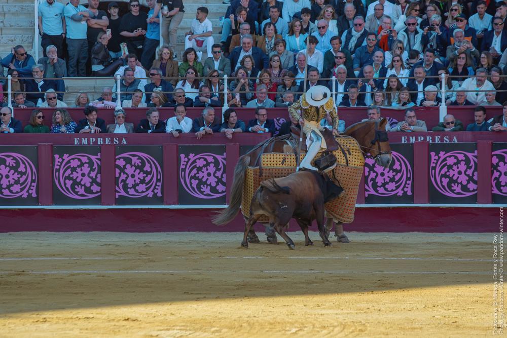 Corrida Picassiana @ Málaga, 19-04-2025