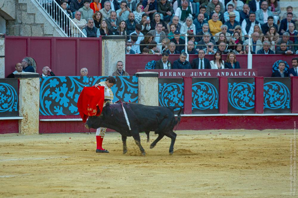 Corrida Picassiana @ Málaga, 19-04-2025