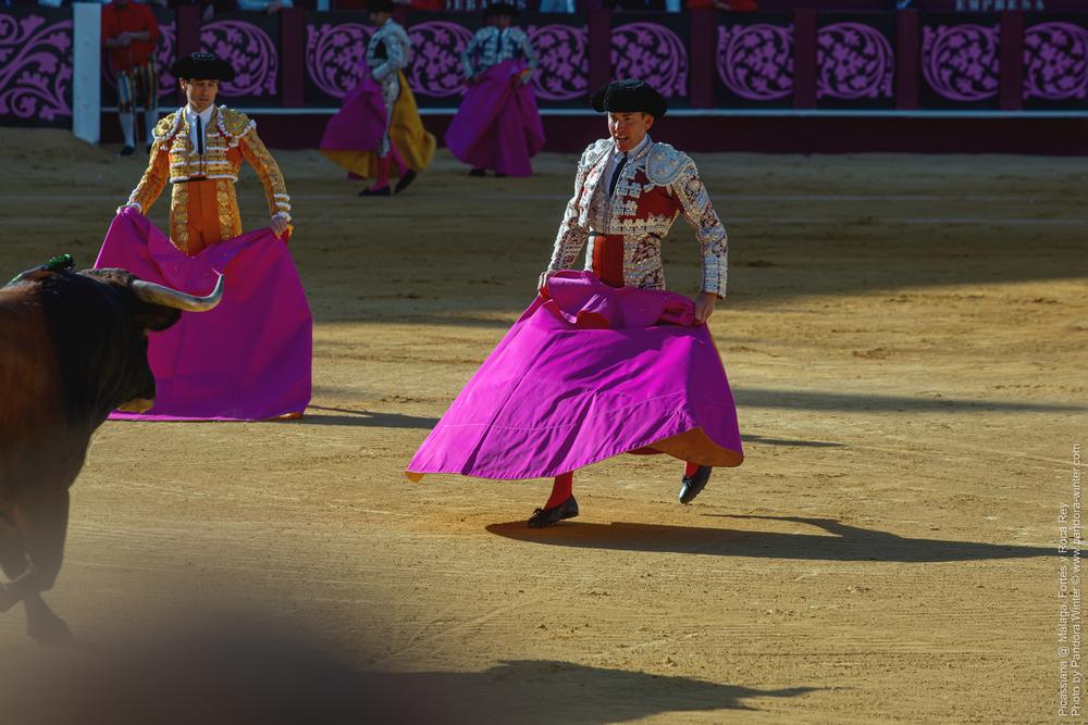 Corrida Picassiana @ Málaga, 19-04-2025
