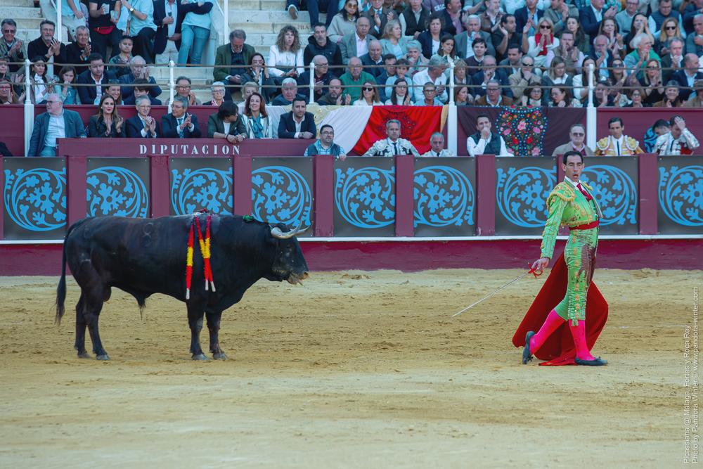 Corrida Picassiana @ Málaga, 19-04-2025