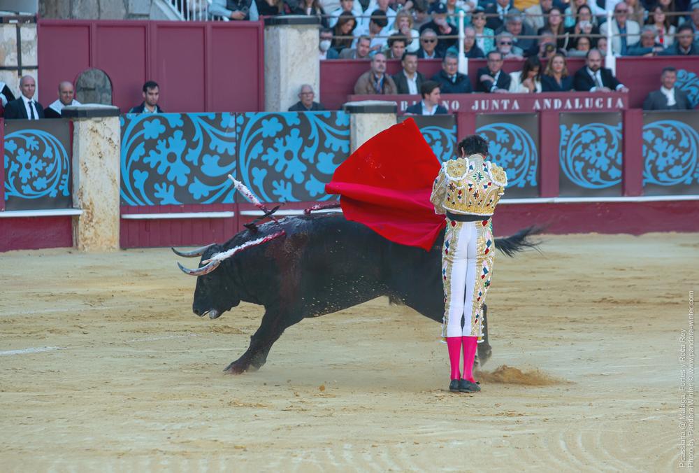 Corrida Picassiana @ Málaga, 19-04-2025