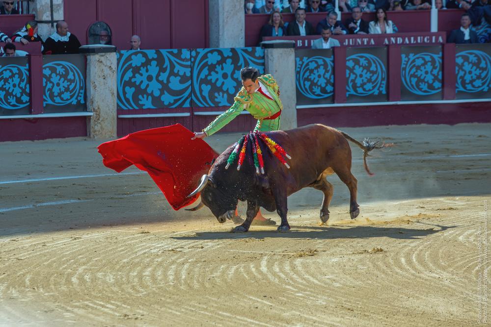 Corrida Picassiana @ Málaga, 19-04-2025