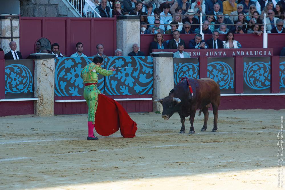 Corrida Picassiana @ Málaga, 19-04-2025