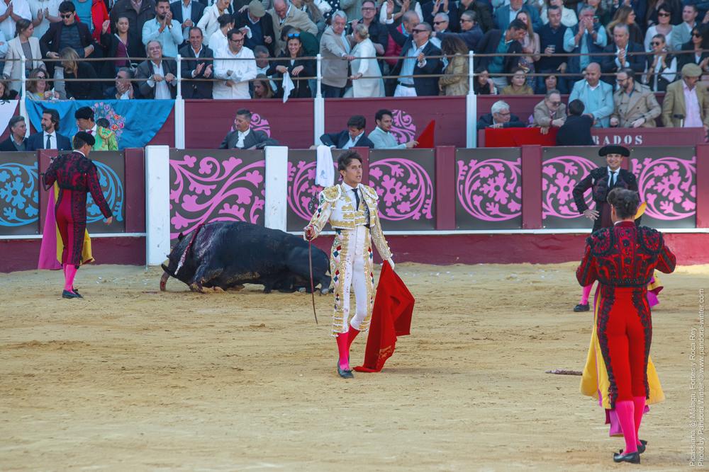 Corrida Picassiana @ Málaga, 19-04-2025