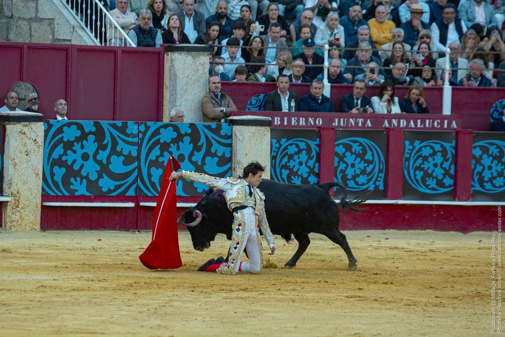 Corrida Picassiana @ Málaga, 19-04-2025