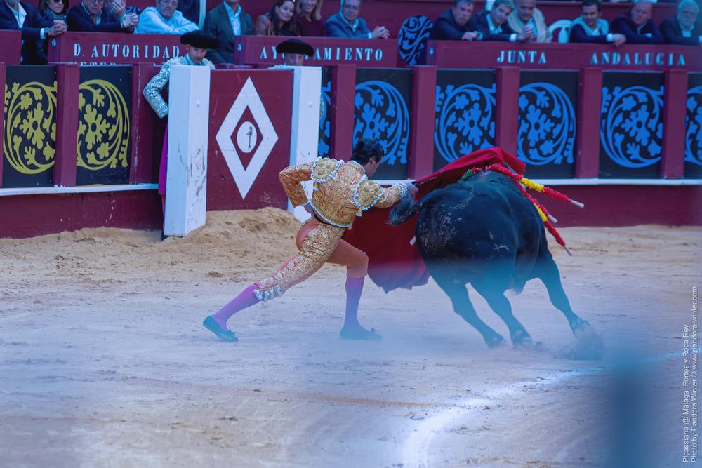 Corrida Picassiana @ Málaga, 19-04-2025