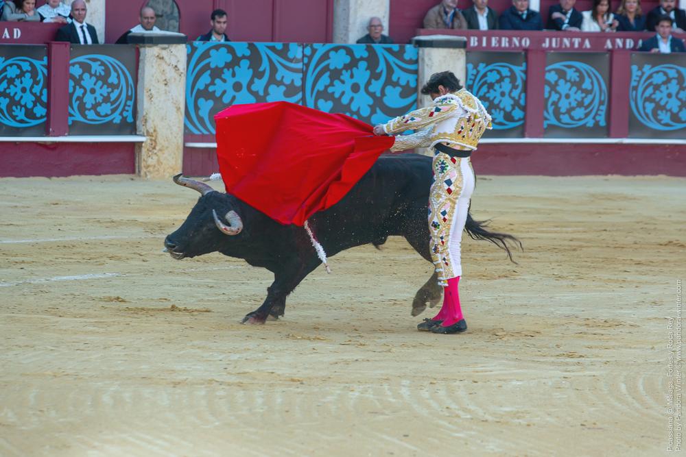 Corrida Picassiana @ Málaga, 19-04-2025