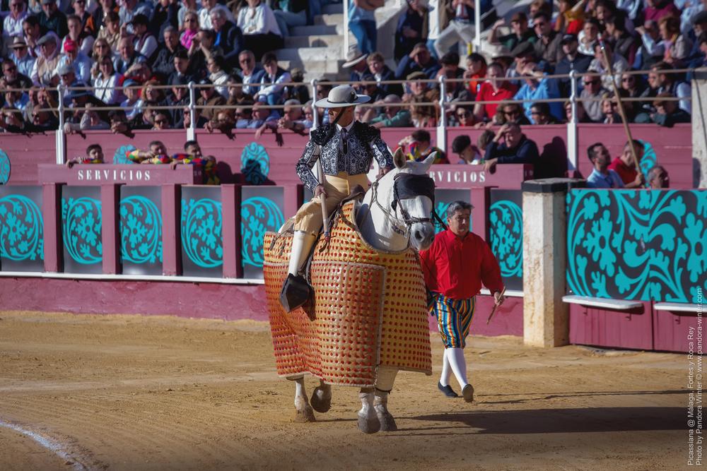 Corrida Picassiana @ Málaga, 19-04-2025