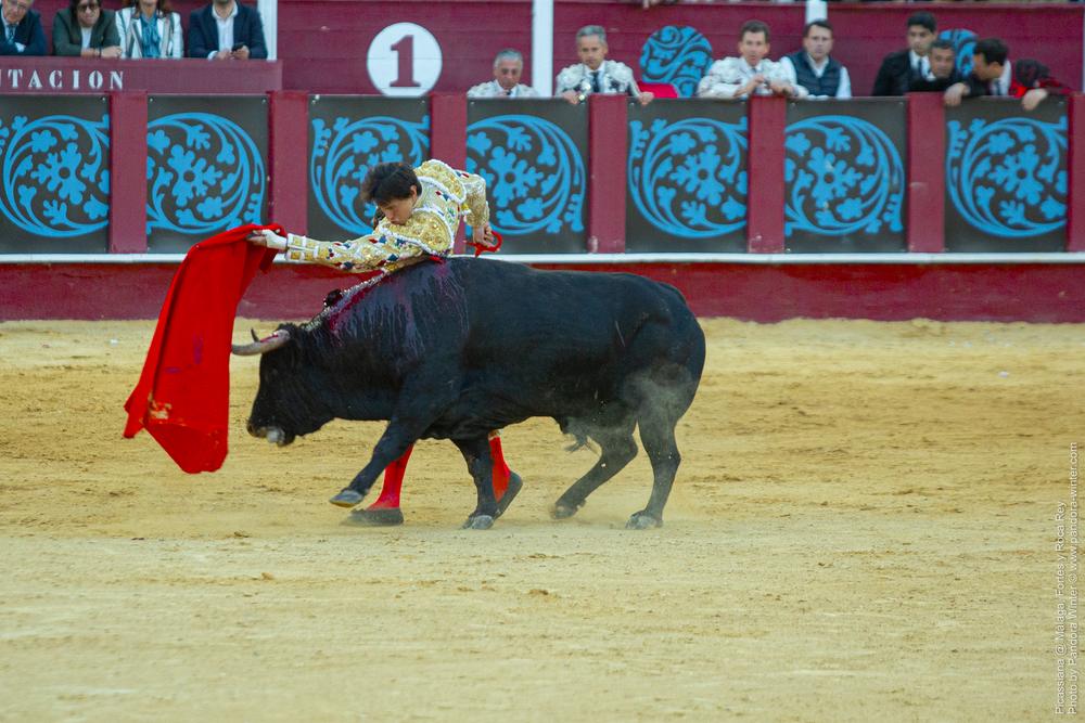 Corrida Picassiana @ Málaga, 19-04-2025