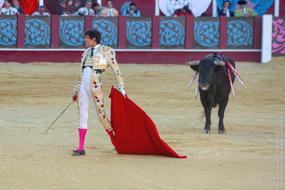 Corrida Picassiana @ Málaga, 19-04-2025