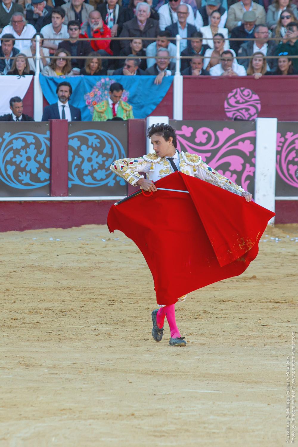 Corrida Picassiana @ Málaga, 19-04-2025