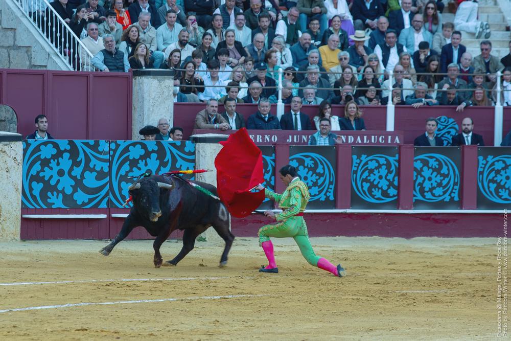 Corrida Picassiana @ Málaga, 19-04-2025