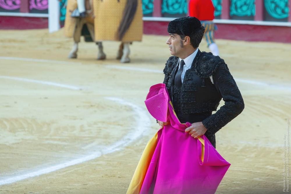 Corrida Picassiana @ Málaga, 19-04-2025