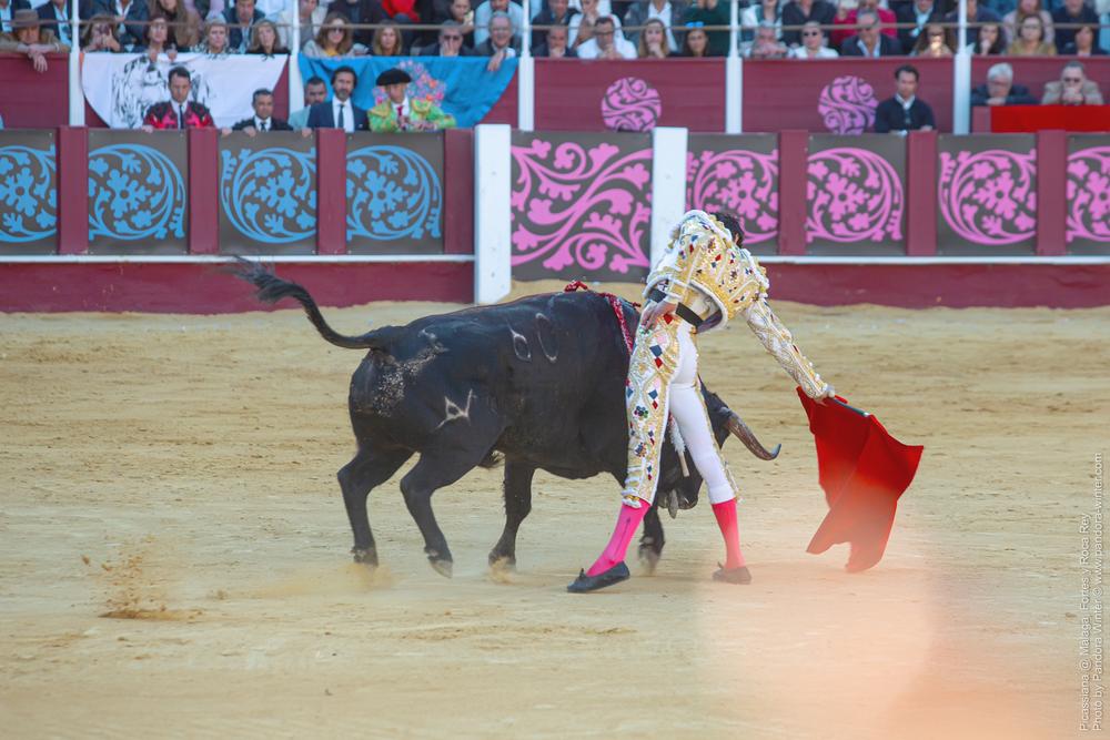 Corrida Picassiana @ Málaga, 19-04-2025