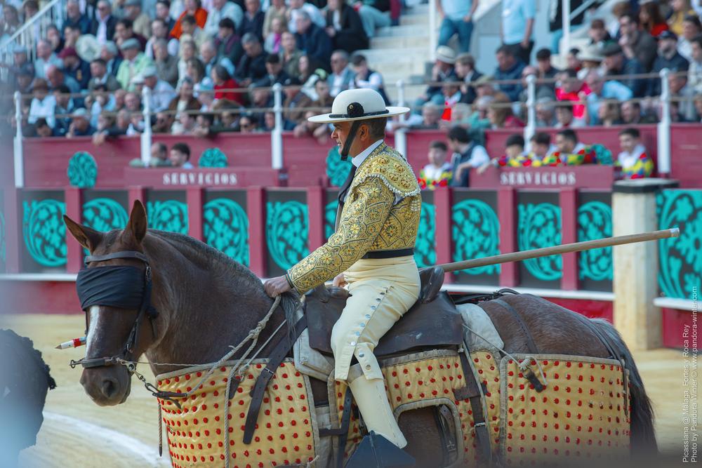 Corrida Picassiana @ Málaga, 19-04-2025