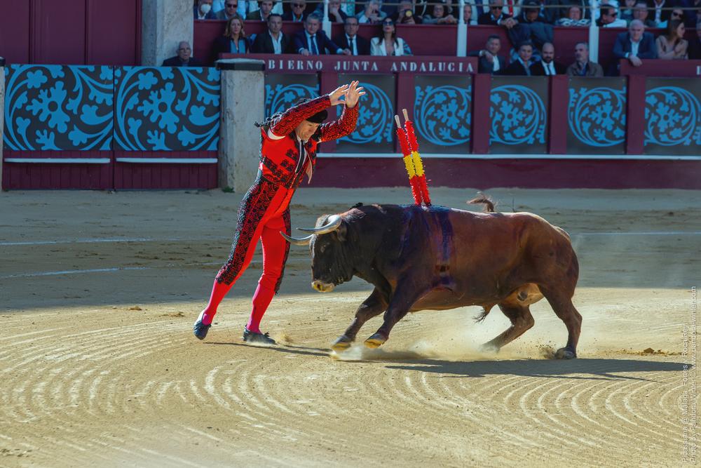 Corrida Picassiana @ Málaga, 19-04-2025