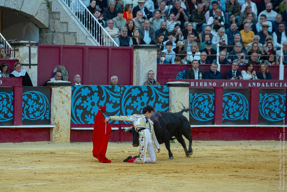 Corrida Picassiana @ Málaga, 19-04-2025