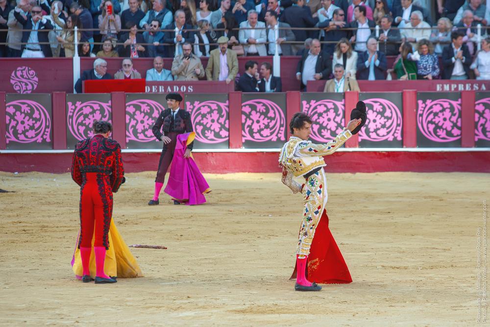 Corrida Picassiana @ Málaga, 19-04-2025