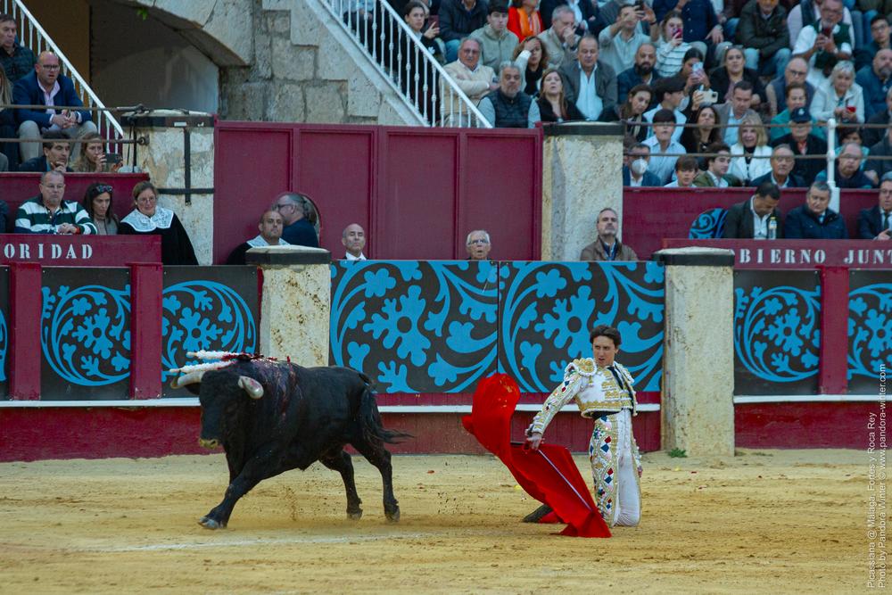 Corrida Picassiana @ Málaga, 19-04-2025