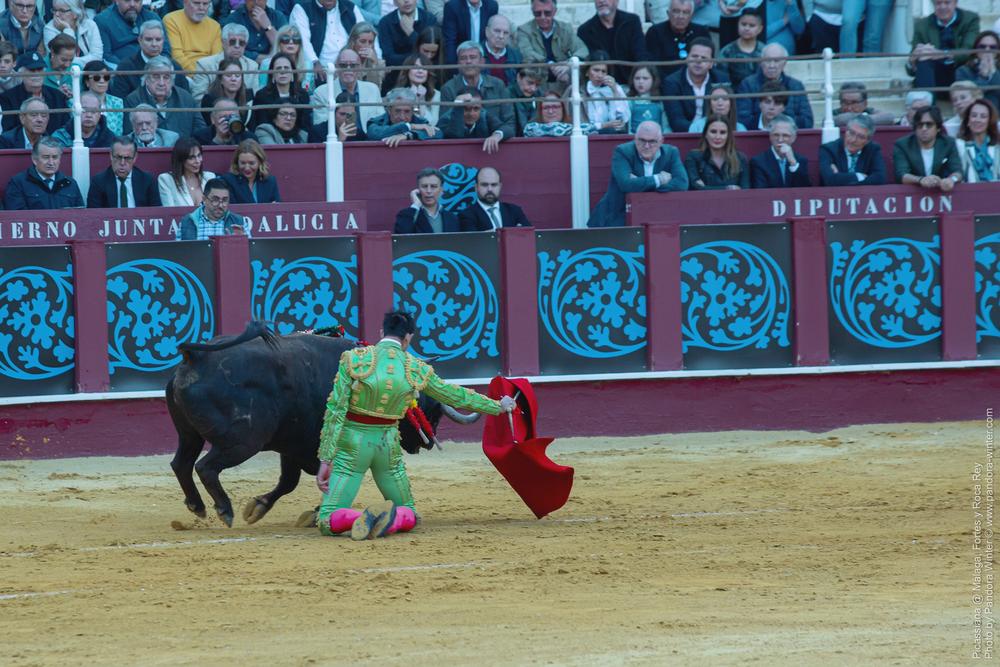 Corrida Picassiana @ Málaga, 19-04-2025
