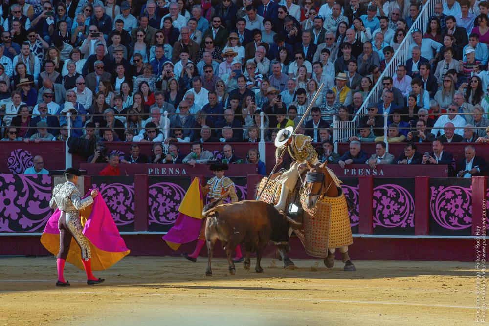 Corrida Picassiana @ Málaga, 19-04-2025
