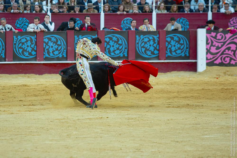 Corrida Picassiana @ Málaga, 19-04-2025