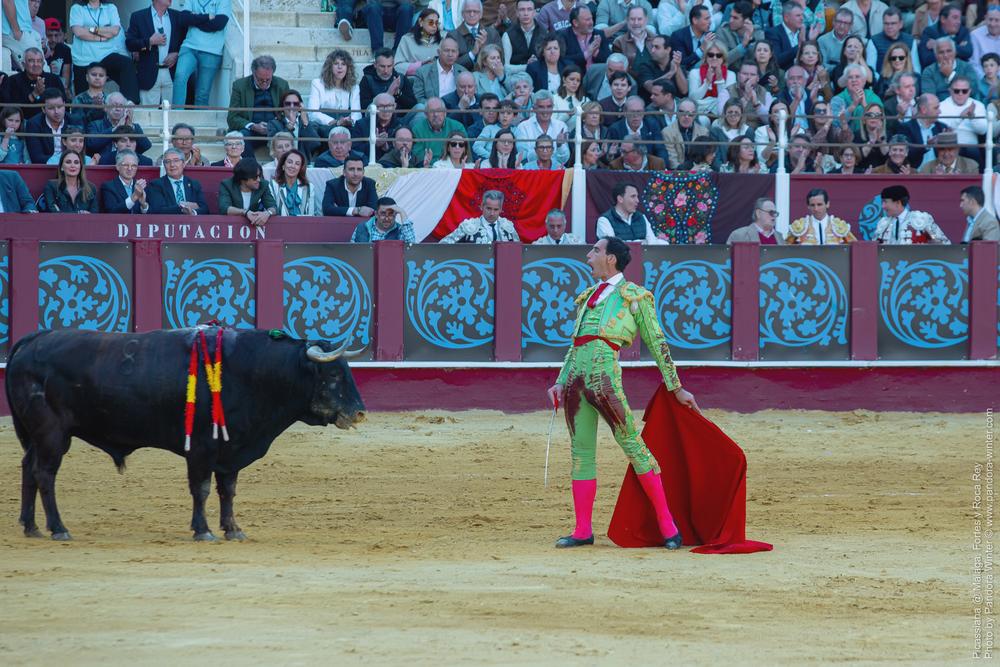 Corrida Picassiana @ Málaga, 19-04-2025