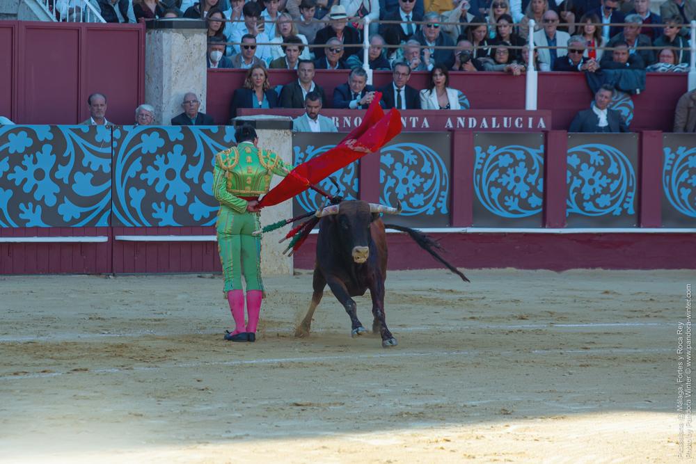 Corrida Picassiana @ Málaga, 19-04-2025