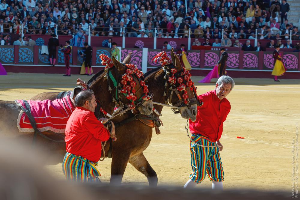 Corrida Picassiana @ Málaga, 19-04-2025