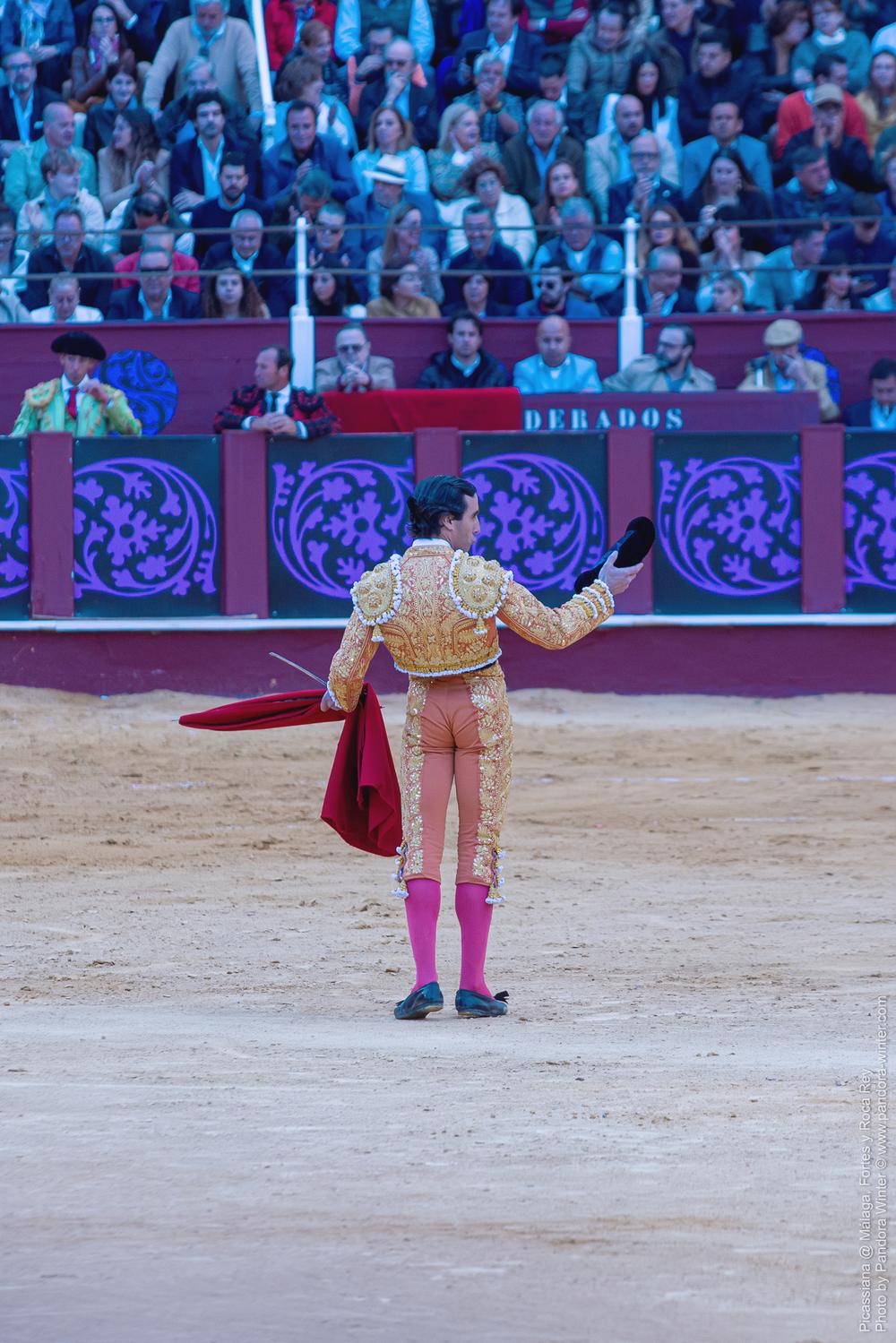 Corrida Picassiana @ Málaga, 19-04-2025