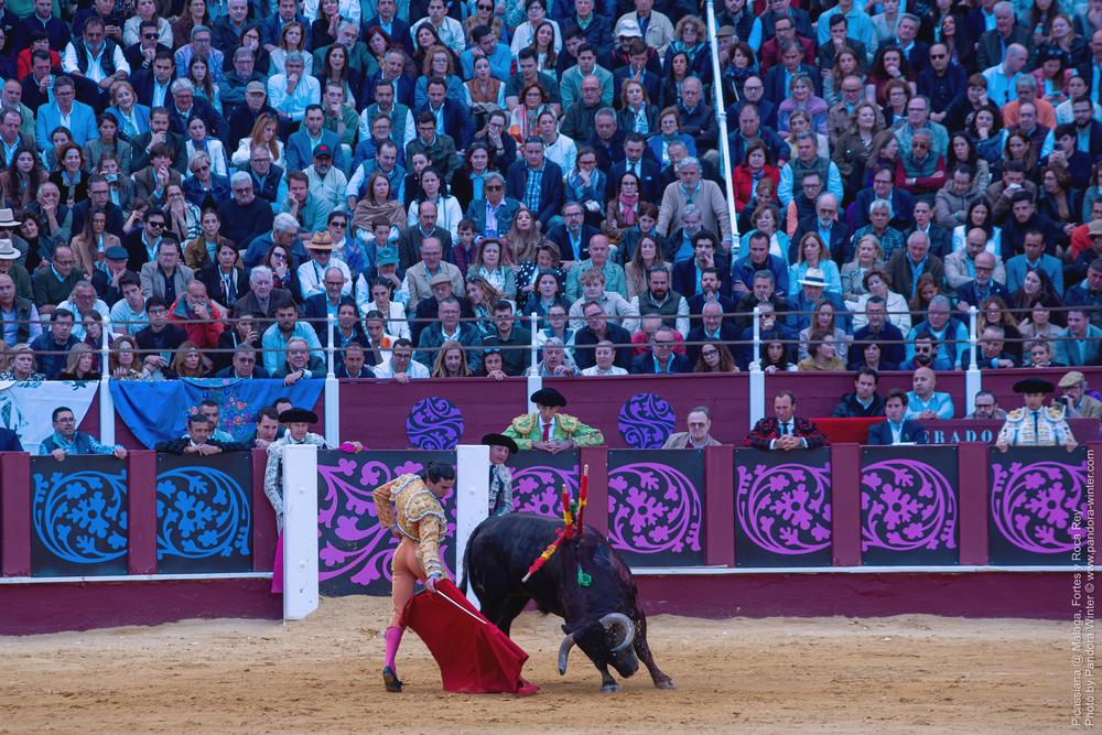 Corrida Picassiana @ Málaga, 19-04-2025