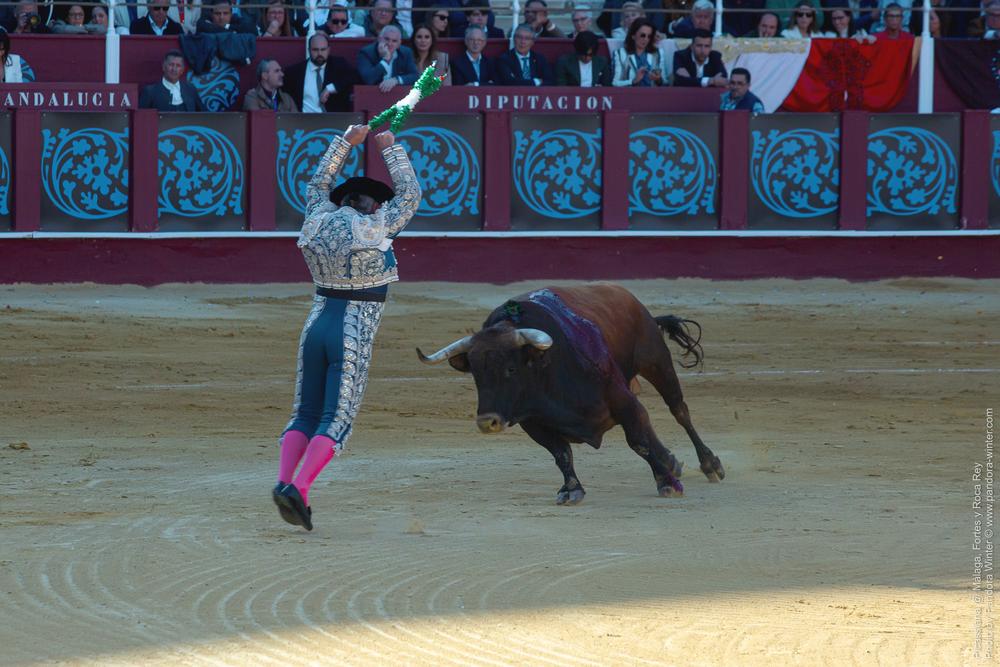 Corrida Picassiana @ Málaga, 19-04-2025