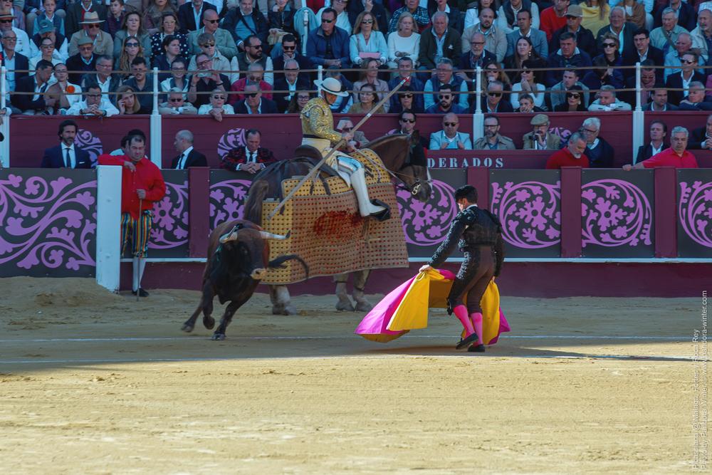 Corrida Picassiana @ Málaga, 19-04-2025
